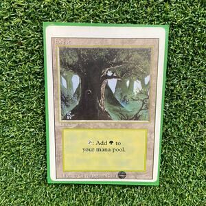 MTG Forest Christopher Rush Art Vintage Basic Land Magic Card LP